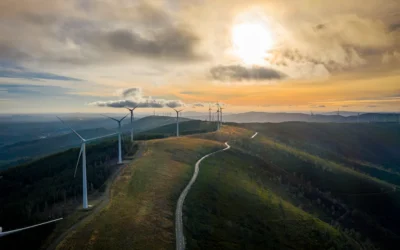 ¿En 2023 el mundo se desencantó de las energías verdes?: Baker & Associates Energy